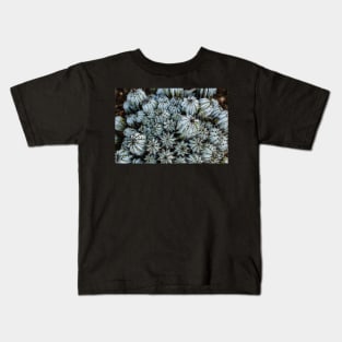 Radial Symmetry Kids T-Shirt